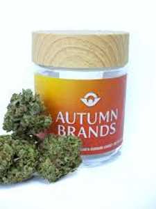 Autumn Brand - Mandarin Glue (Eighth) | Reg $36