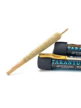 Ganja Gold - Blue Tarantula - True Mint (1.2g)