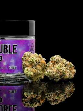 Pearl Pharma - Double Cup (Eighth)