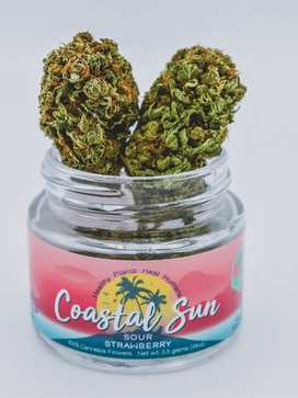 Coastal Sun - Sour Strawberry (Eighth)