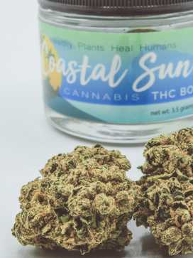 Coastal Sun - THC Bomb (Eighth)